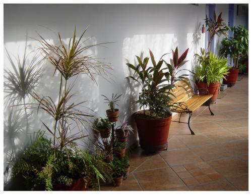 Suitel 522 Eco Hostel Mazatlan Bagian luar foto