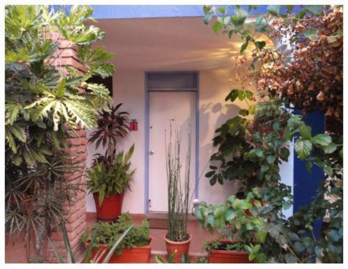 Suitel 522 Eco Hostel Mazatlan Bagian luar foto