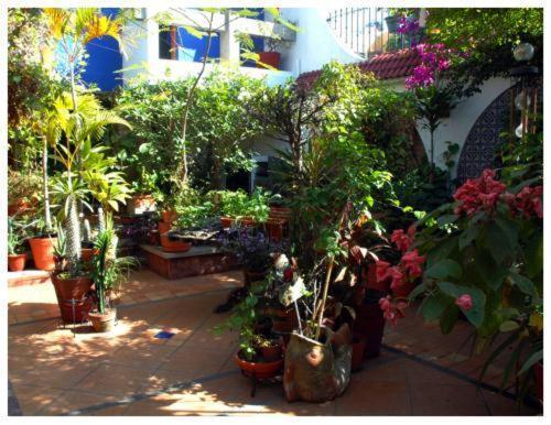 Suitel 522 Eco Hostel Mazatlan Bagian luar foto