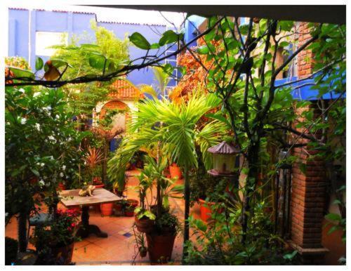 Suitel 522 Eco Hostel Mazatlan Bagian luar foto