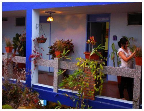 Suitel 522 Eco Hostel Mazatlan Bagian luar foto